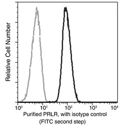 Sino Biological Recombinant Anti-Prolactin Receptor Antibody, Rabbit Monoclonal,