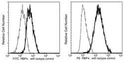 Sino Biological Anti-RBP4 Antibody (PE), Mouse Monoclonal, Quantity: Each