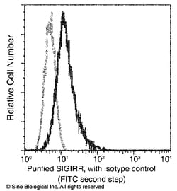 Sino Biological SIGIRR / TIR8 Antibody, Rabbit MAb 100uL, Quantity: Each