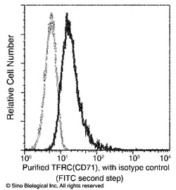 Sino Biological Transferrin Receptor / TFRC / CD71 Antibody, Rabbit MAb