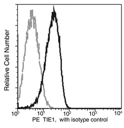 Sino Biological Anti-Tie-1 Antibody (PE), Mouse Monoclonal, Quantity: Each