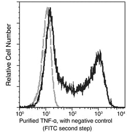Sino Biological TNF-alpha / TNFA / TNFSF2 Antibody, Rabbit MAb 100µL, Quantity: