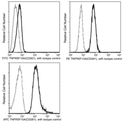 Sino Biological Anti-DR4/TRAIL R1 Antibody (PE), Mouse Monoclonal, Quantity: