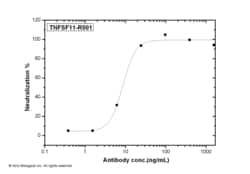 Sino Biological RANKL / OPGL / TNFSF11 / CD254 Neutralizing Antibody 200ug,