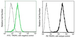 Sino Biological TROP2 / TACSTD2 Antibody (FITC), Mouse MAb 25Tests, Quantity: