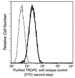 Sino Biological Anti-TROP-2 Antibody, Mouse Monoclonal, Quantity: Each