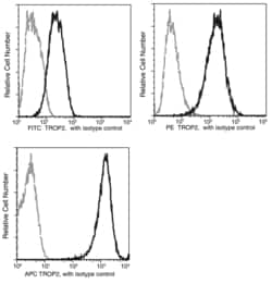 Sino Biological TROP2 / TACSTD2 Antibody (FITC), Rabbit MAb 100Tests, Quantity: