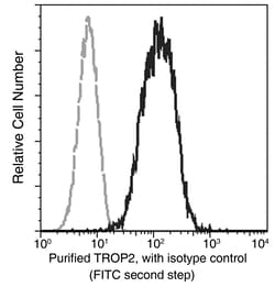Sino Biological Recombinant Anti-TROP-2 Antibody, Rabbit Monoclonal, Quantity: