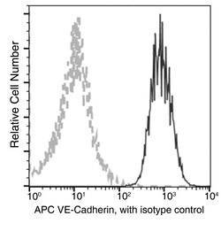 Sino Biological Anti-VE-Cadherin Antibody (APC), Mouse Monoclonal, Quantity: