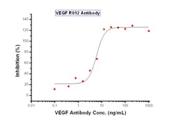 Sino Biological VEGF165/VEGFA Neutralizing Antibody 500µg, Quantity: Each