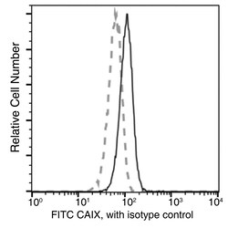 Sino Biological Recombinant Anti-Carbonic Anhydrase IX/CA9 Antibody (FITC),