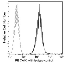 Sino Biological Recombinant Anti-Carbonic Anhydrase IX/CA9 Antibody (PE),