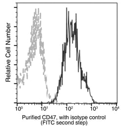 Sino Biological Anti-CD47 Antibody, Mouse Monoclonal, Quantity: Each of