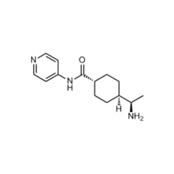 Medchemexpress LLC HY-10071 10mg , Y-27632 CAS:146986-50-7 Purity:>98%,