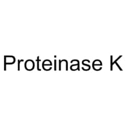 Medchemexpress LLC HY-108717 100mg Medchemexpress, Protease K CAS:39450-01-6