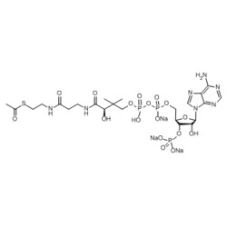 Medchemexpress LLC HY-113596 10mg , Acetyl Coenzyme A (trisodium) CAS:102029-73-2