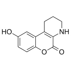 Medchemexpress LLC HY-12243 5mg Medchemexpress, CID-797718 CAS:370586-05-3