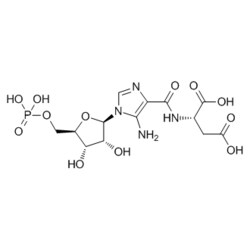 Medchemexpress LLC HY-126585 1mg , SAICAR CAS:3031-95-6 Purity:>98%, Quantity: