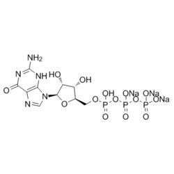 Medchemexpress LLC HY-12695 100mg Medchemexpress, Guanosine 5'-triphosphate