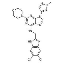 Medchemexpress LLC HY-130250 10mg , SR-4835 CAS:2387704-62-1 Purity:>98%,