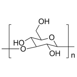 Medchemexpress LLC HY-131166 500mg Medchemexpress, Curdlan CAS:54724-00-4