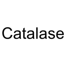 Medchemexpress LLC HY-135849 100mg Medchemexpress, Catalase CAS:9001-05-2