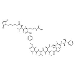 Medchemexpress LLC HY-15575 10mg , VcMMAE CAS:646502-53-6 Purity:>98%,
