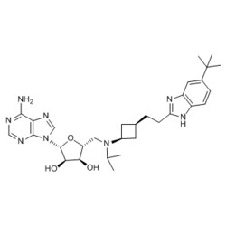 Medchemexpress LLC HY-15593 25mg , Pinometostat CAS:1380288-87-8 Purity:>98%,