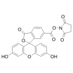 Medchemexpress LLC&nbsp;HY-15939 10mg Medchemexpress, 6-FAM SE CAS:92557-81-8 Purity:>98%