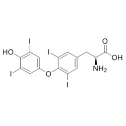 Medchemexpress LLC HY-18341 500mg Medchemexpress, L-Thyroxine CAS:51-48-9
