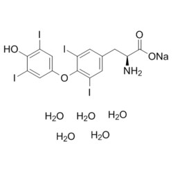 Medchemexpress LLC&nbsp;HY-18341A 500mg Medchemexpress, L-Thyroxine (sodium salt pentahydrate) CAS:6106-07-6 Purity:>98%