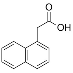Medchemexpress LLC HY-18570 500mg Medchemexpress, 1-Naphthaleneacetic acid