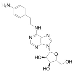 Medchemexpress LLC HY-18687 10mg Medchemexpress, APNEA CAS:89705-21-5 Purity:>98%,