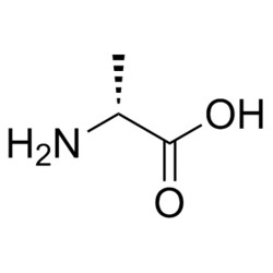 Medchemexpress LLC HY-41700 500mg Medchemexpress, D-Alanine CAS:338-69-2