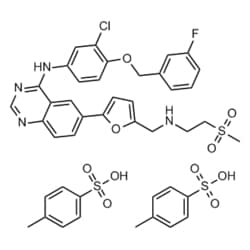 Medchemexpress LLC HY-50898A 100mg , Lapatinib (ditosylate) CAS:388082-77-7