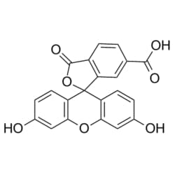 Medchemexpress LLC&nbsp;HY-66021 100mg Medchemexpress, 6-FAM CAS:3301-79-9 Purity:>98%