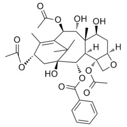 Medchemexpress LLC HY-77434 10mg Medchemexpress, 9-Dihydro-13-acetylbaccatin