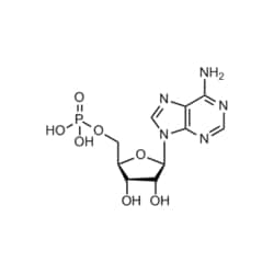 Medchemexpress LLC HY-A0181 500mg Medchemexpress, Adenosine monophosphate