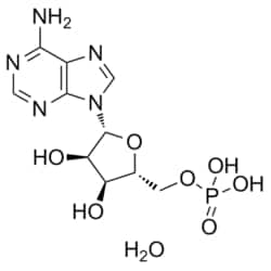 Medchemexpress LLC HY-A0181A 500mg Medchemexpress, Adenosine 5'-monophosphate