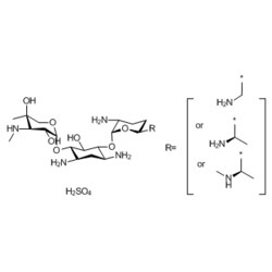 Medchemexpress LLC&nbsp;HY-A0276 500mg , Gentamicin (sulfate) CAS:1405-41-0 Purity:>98%