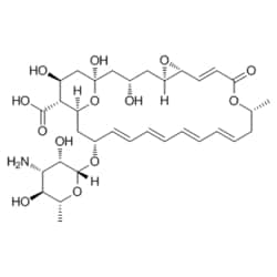 Medchemexpress LLC HY-B0133 100mg , Natamycin CAS:7681-93-8 Purity:>98%,