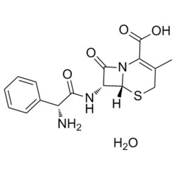 Medchemexpress LLC HY-B0200B 500mg Medchemexpress, Cephalexin (monohydrate)