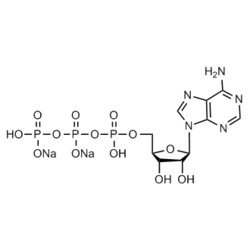 Medchemexpress LLC HY-B0345A 5g , ATP (disodium salt) CAS:987-65-5 Purity:>98%,