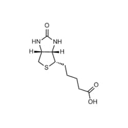 Medchemexpress LLC HY-B0511 500mg , Biotin CAS:58-85-5 Purity:>98%, Quantity:
