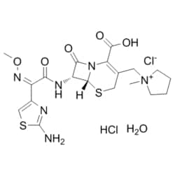 Medchemexpress LLC&nbsp;Cefepime  Dihydrochl  | 500MG