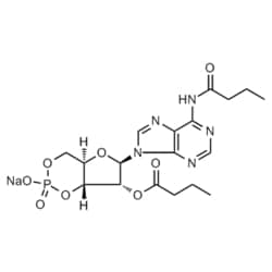 Medchemexpress LLC HY-B0764 50mg , Bucladesine (sodium) CAS:16980-89-5