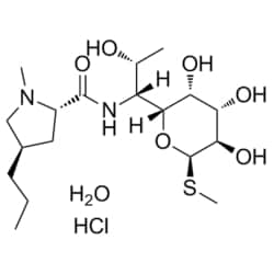 Medchemexpress LLC HY-B1358 500mg Medchemexpress, Lincomycin (hydrochloride