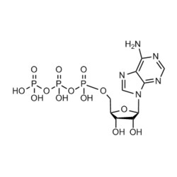 Medchemexpress LLC HY-B2176 100mg , ATP CAS:56-65-5 Purity:>98%, Quantity: