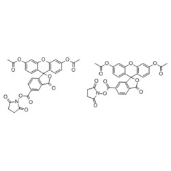 Medchemexpress LLC HY-D0938 5mg Medchemexpress, CFSE CAS:150347-59-4 Purity:>98%,