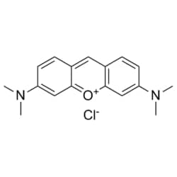 Medchemexpress LLC HY-D0971 100mg Medchemexpress, Pyronin Y CAS:92-32-0